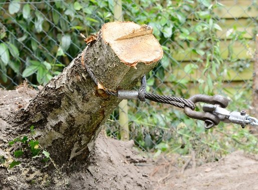 Как выкорчевать пень на даче без усилий, лучшие способы