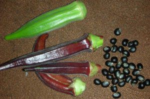 Плоды и семена бамии