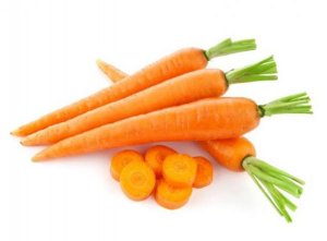 Не всходит морков��, что делать в таком случае