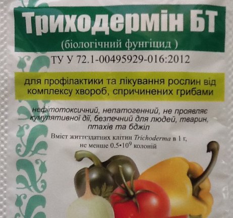 Лучшие фунгициды для растений в 2019 году