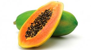 Выращивание в домашних условиях папайи из семян в горшке, видео