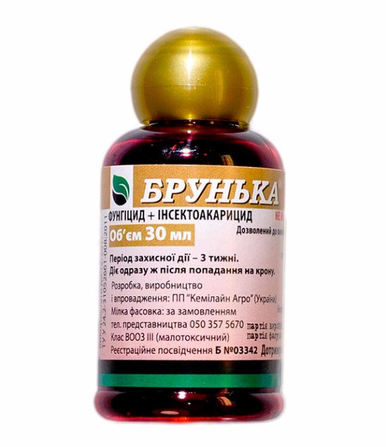 Препарат «Брунька»: инструкция по применению фунгицида