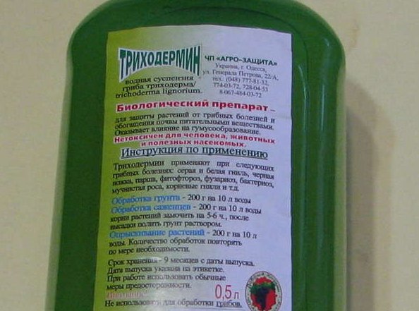 "Триходермин": инструкция по применению препарата
