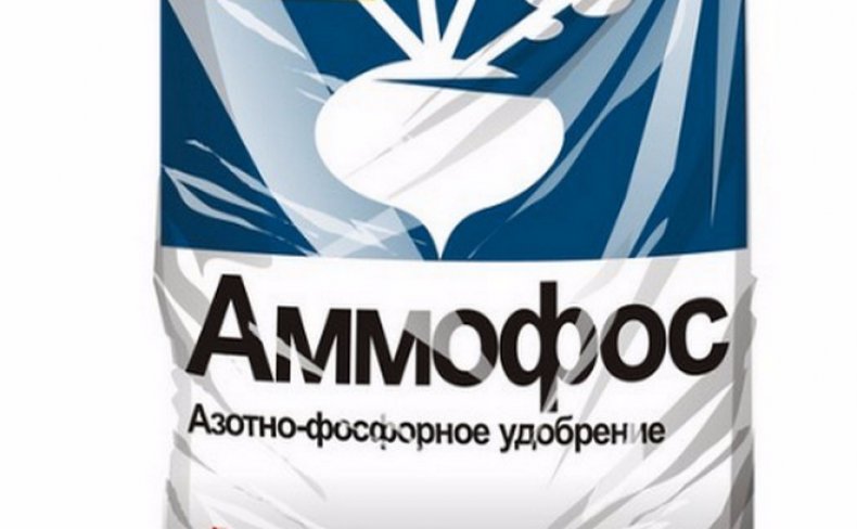Аммофос описание и применение минерального удобрения