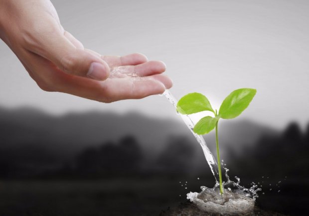 Инструкция Жидкого Гумата Натрия