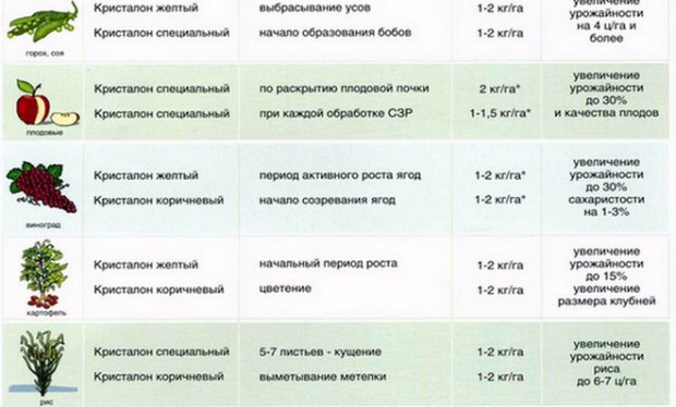 Кристалона желтый инструкция по применению Кристалона желтый инструкция по применению