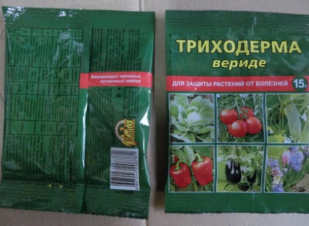 Триходерма Вириде Инструкция По Применению триходерма вириде инструкция по применению