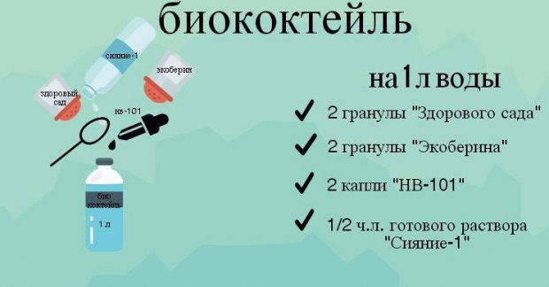 нитрагин инструкция по применению