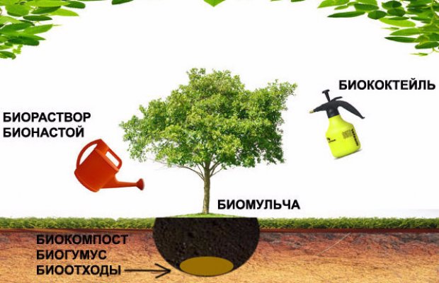 нитрагин инструкция по применению