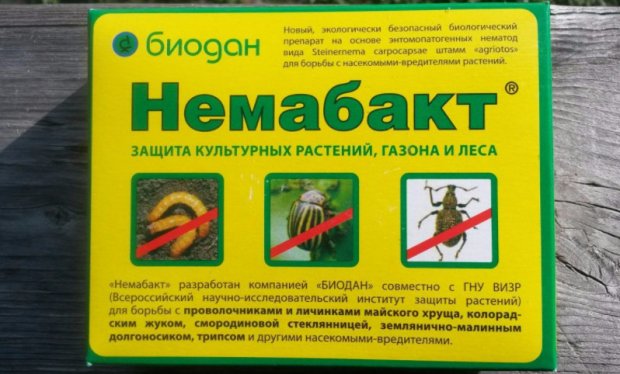 препарат немабакт инструкция цена