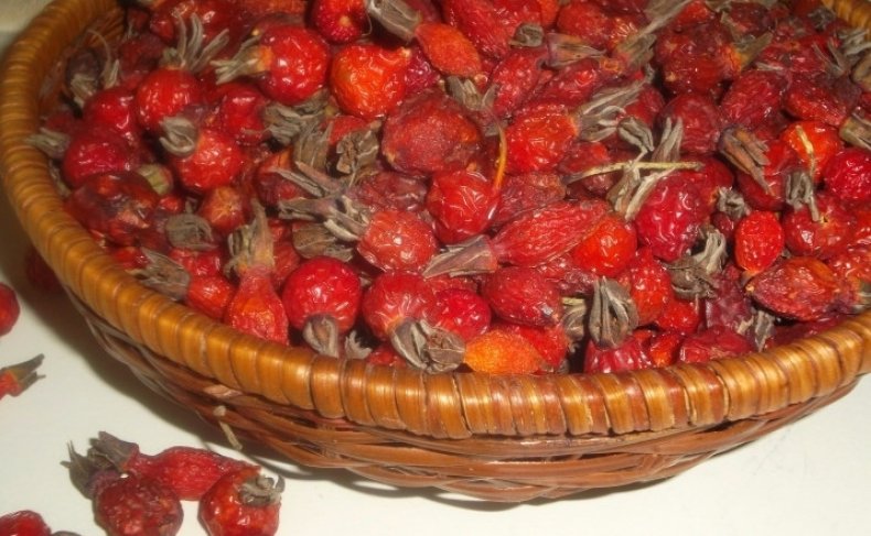 Сушеные ягоды шиповника
