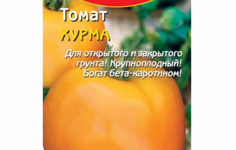 томат, хурма, описание, выращивание, сорт, Томат Хурма
