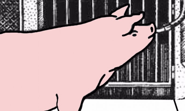 Поилка для свиней