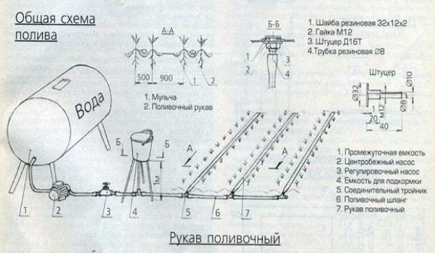 Капельный полив Капельный полив