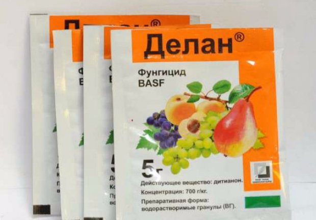 делан инструкция по применению