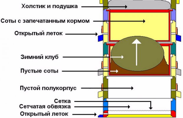 Сделать