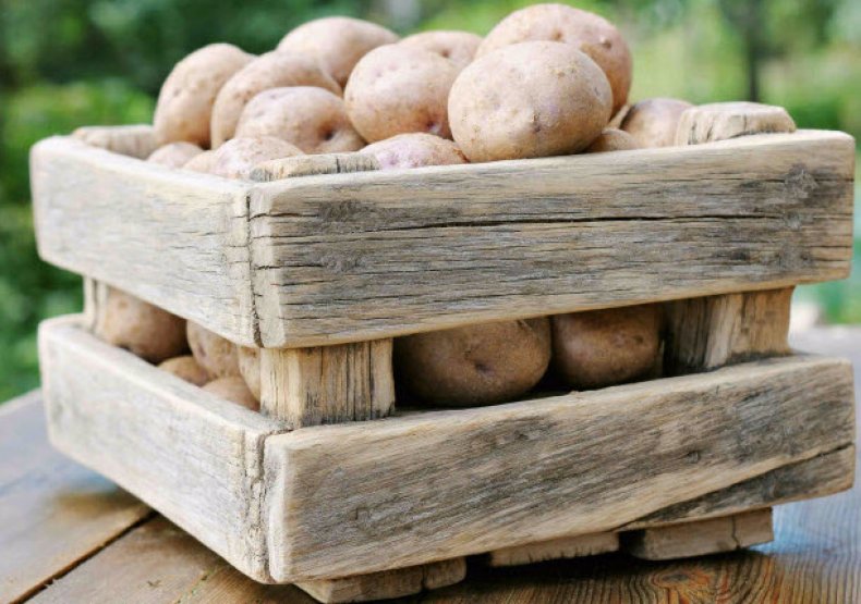 Хранение картофеля в ящике
