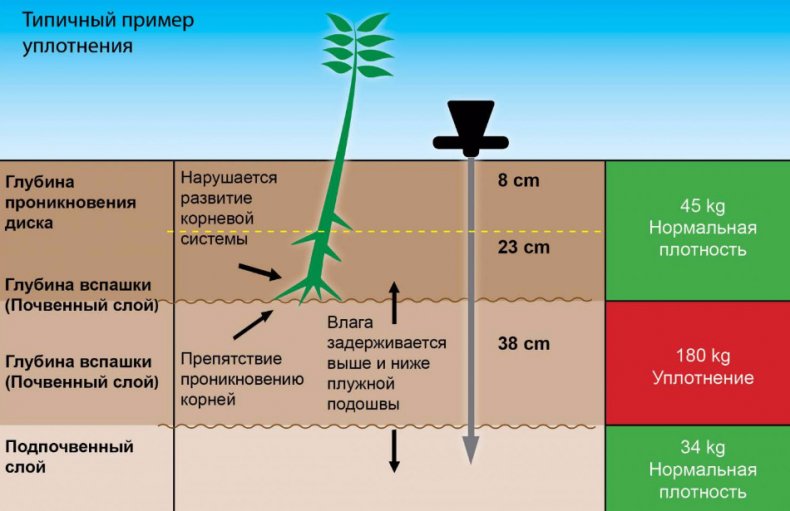 Пример уплотнения почвы