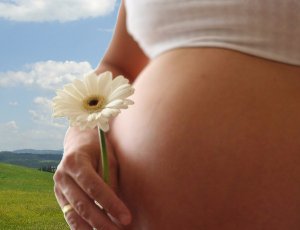 Прием маточного молочка при беременности