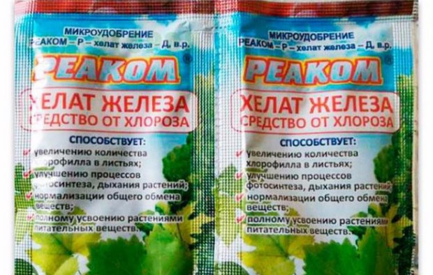 Железо Хелат Инструкция Nsp