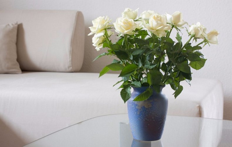 Как сохранить срезанные розы в вазе надолго продлеваем жизнь букету