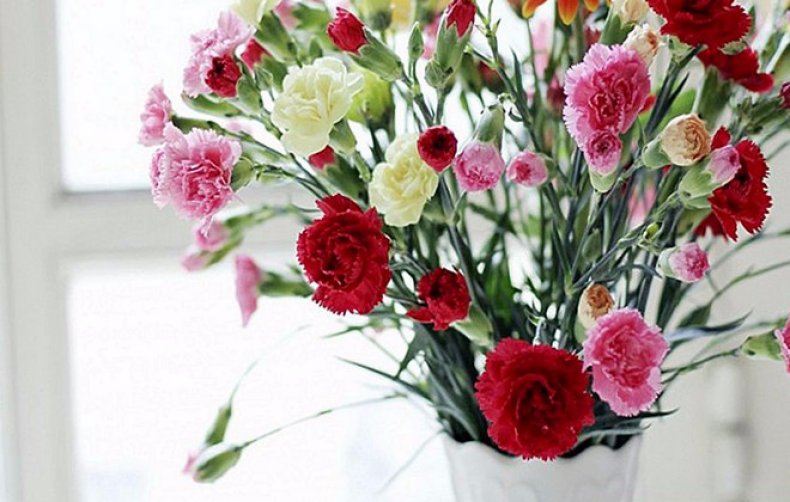 Как сохранить срезанные розы в вазе надолго продлеваем жизнь букету