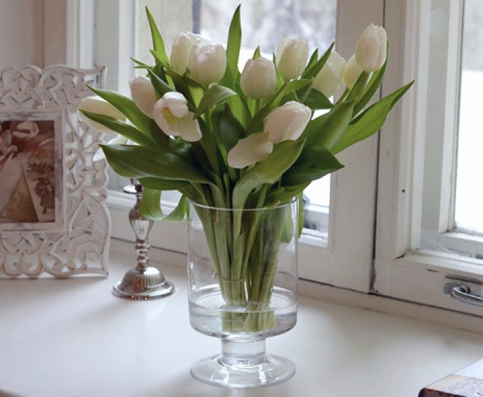 Тюльпаны ставить в холодную или теплую воду. Тюльпаны в вазе на окне. Букет тюльпанов на подоконнике. Тюльпаны в вазе на столе. Букет тюльпанов в вазе дома.