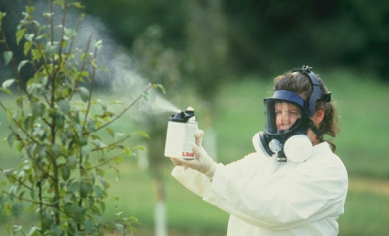 Как влияет использование пестицидов на здоровье и окружающую среду