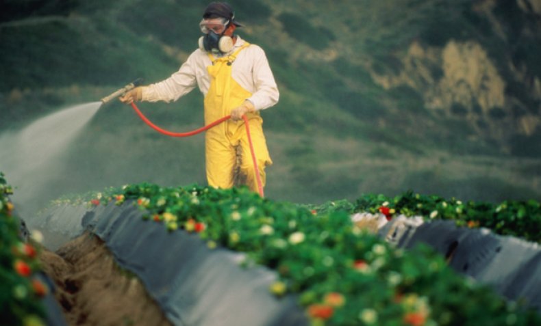 Влияние пестицидов на организм человека и окружающую среду