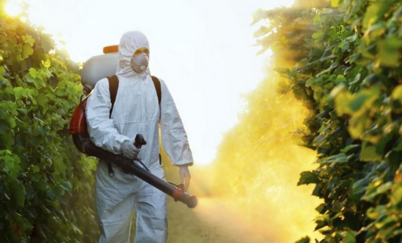 Влияние пестицидов на организм человека и окружающую среду