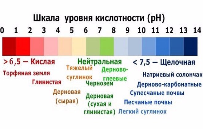 Калина кислотность почвы