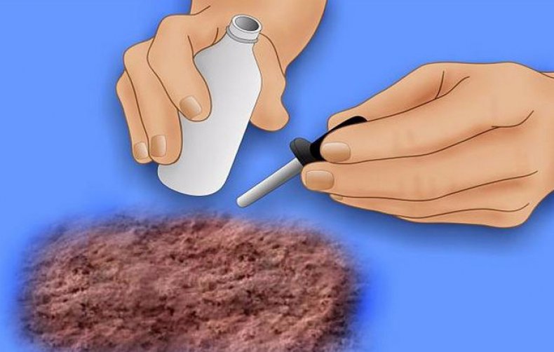 Как определить кислотность почвы в домашних условиях изучаем способы