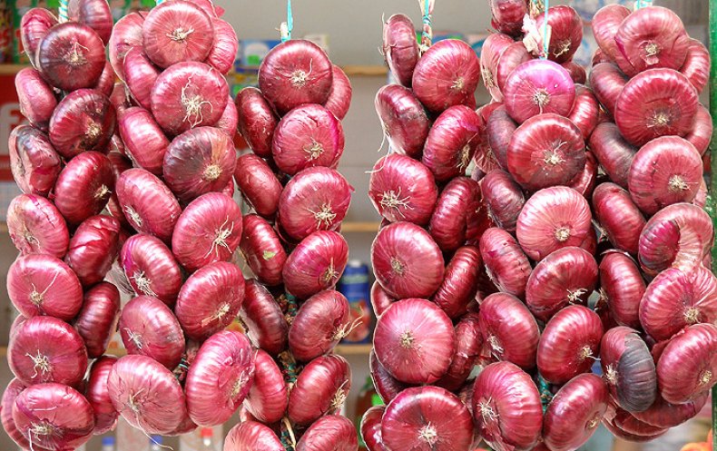 «Yalta» Rare Sweet onion «Yaltinsky» ЯЛТИНСКИЙ ЛУК - 300-600-1500-3000 seeds