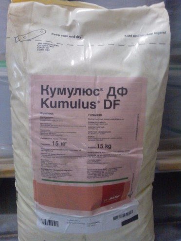 Применение инфинити фунгицид