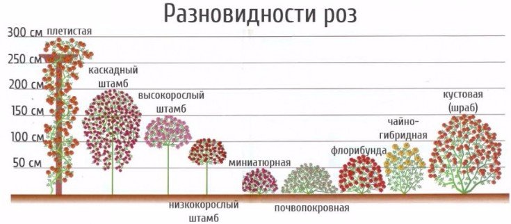 Цветные файлы делятся по количеству цветов чем больше цветов