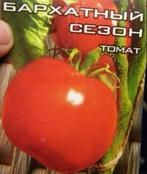 семя, томат, сибирский, селекция