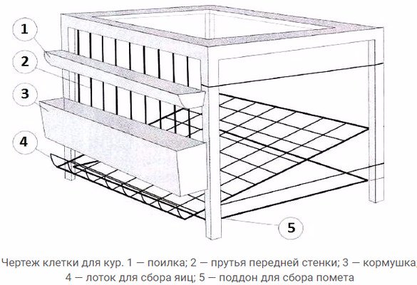 Чертеж для клетки для бройлеров