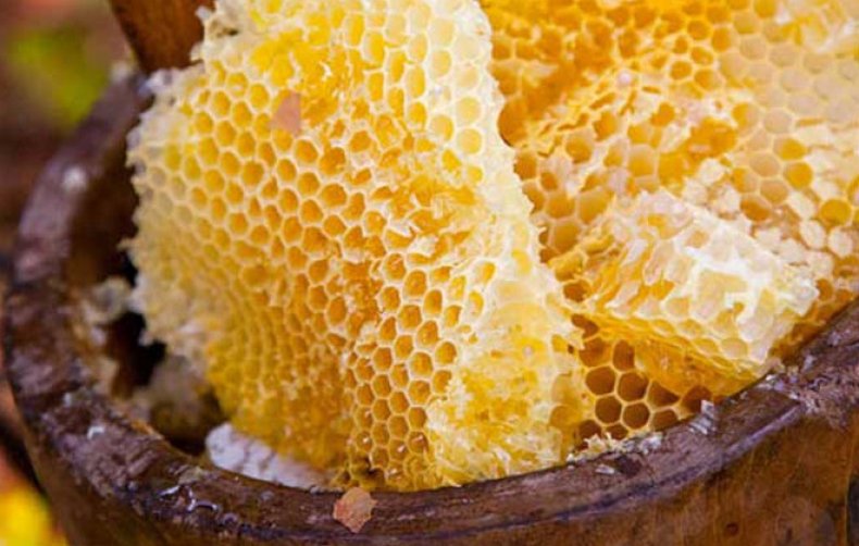 бортевой, пчеловодство, бортевого пчеловодства, Бортевое пчеловодство, Вначале выполняется, данного изделия
