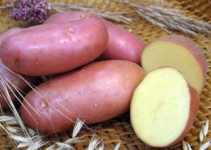 Голландский картофель сорта Ред Скарлетт