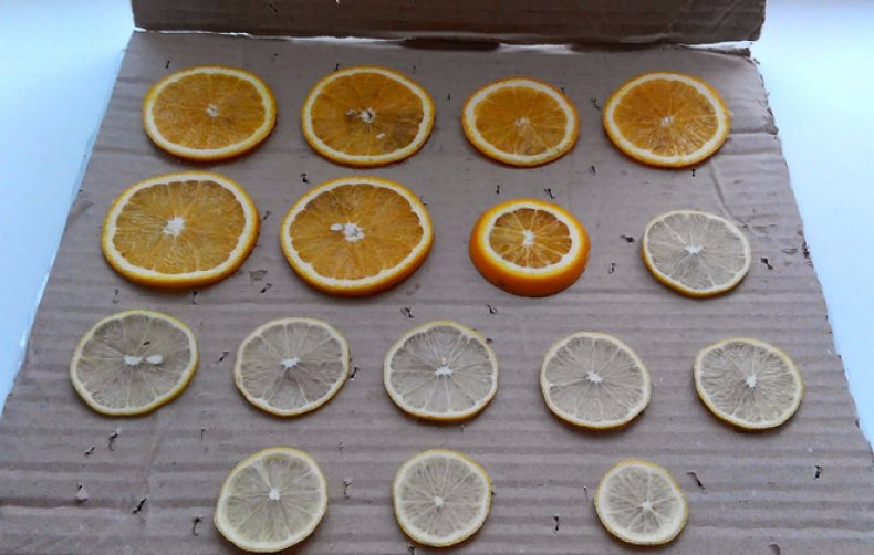 Как высушить апельсины для декора в духовке, электросушилке или батарее