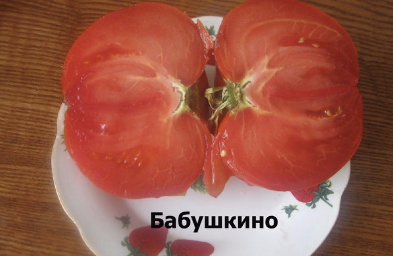 томат, бабушкин, описание, фото, сорт