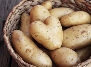 Где хранить картошку условия сохранения урожая в квартире