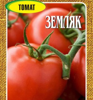 томат, земляк, фото, описание