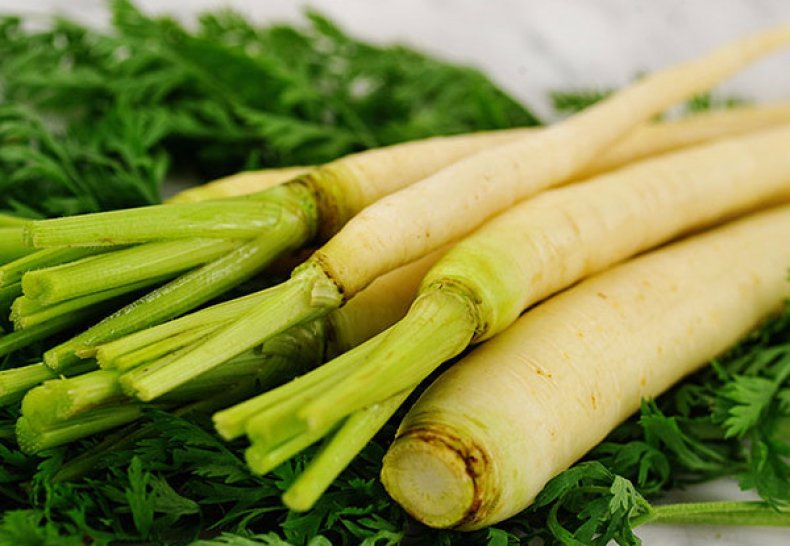 Белая морковь: описание сортов, cостав и калорийность, полезные свойства ипротивопоказания, фото