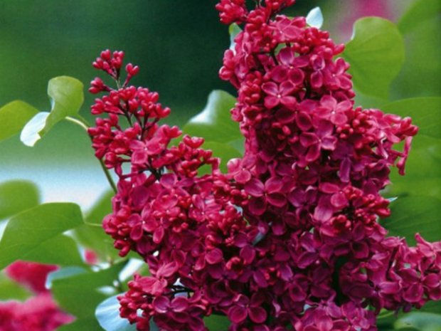 �������� ������