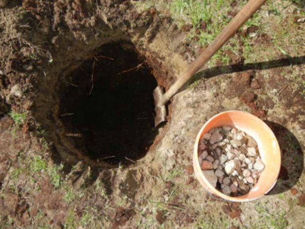 ��� ��� ������� ������