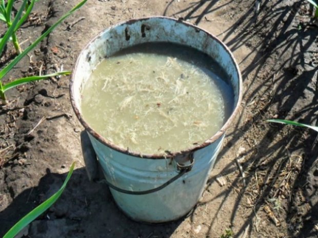 �������� ����