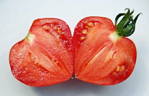 Как вырастить томат Бычье сердце на своем огороде