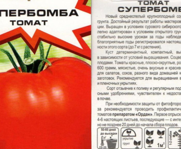Томат супербомба схема посадки