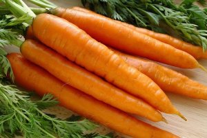 Морковь Канадская f1